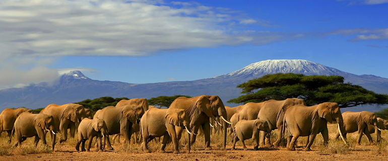 Moxx-Travel Amboseli